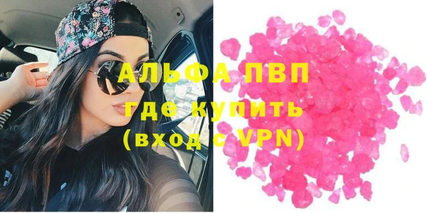 сатива Каменногорск