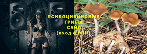 PSILOCYBIN Бородино