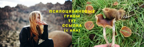 круглые Карпинск