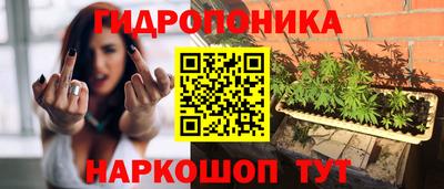 мяу мяу мука Краснознаменск
