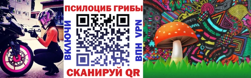 где купить наркоту  Электросталь  нарко площадка формула  Псилоцибиновые грибы Psilocybine cubensis 