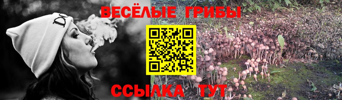 Электросталь  Галлюциногенные грибы Psilocybe  Вход с VPN  Галлюциногенные грибы Psilocybine cubensis 