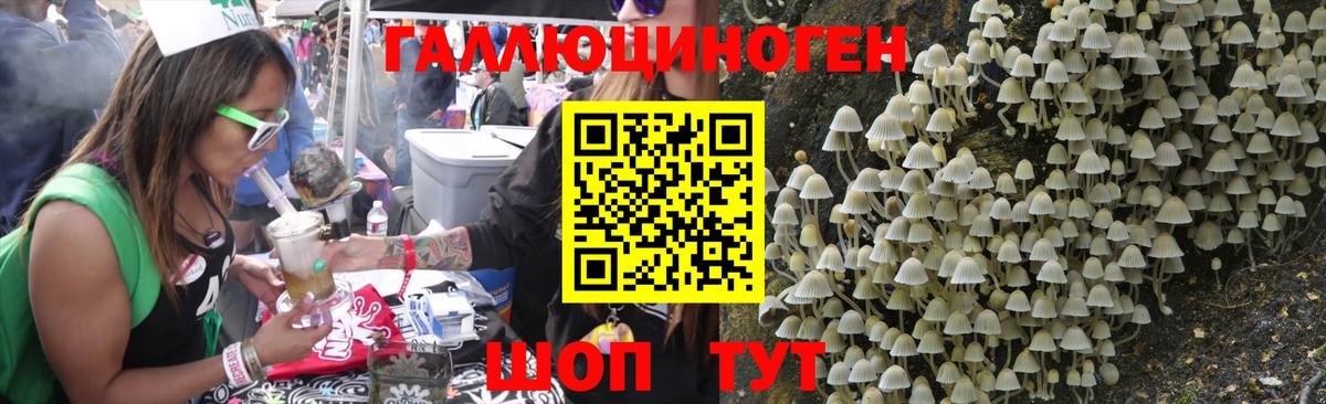 Галлюциногенные грибы Cubensis Электросталь