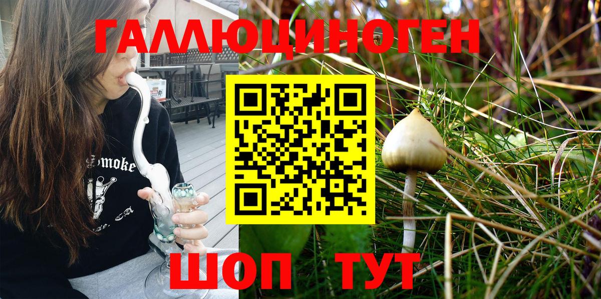 Галлюциногенные грибы Psilocybe Электросталь